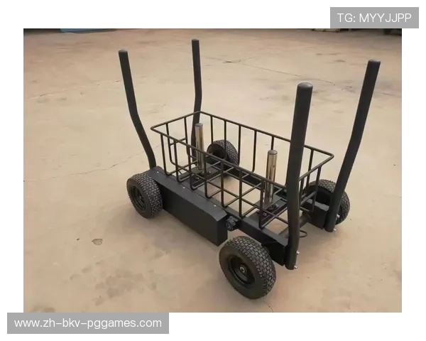 部队健身器材：军队专用健身器材的种类与使用要求